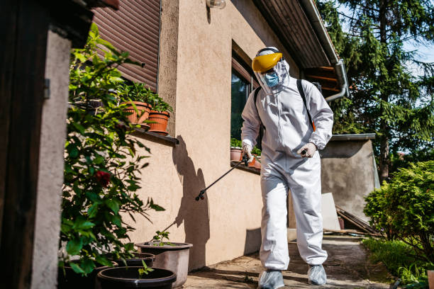 Best Pest Inspection Near Me  in Valley City, ND