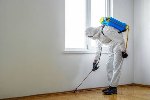 Professional Pest Control in Valley City, ND