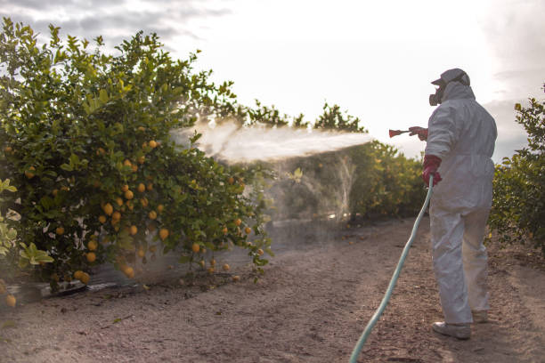 Best Emergency Pest Control  in Valley City, ND