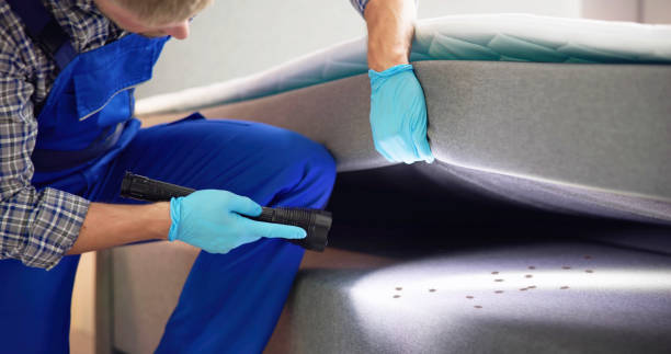Best Residential Pest Control  in Valley City, ND