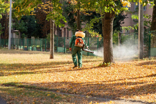Best Insect Control  in Valley City, ND