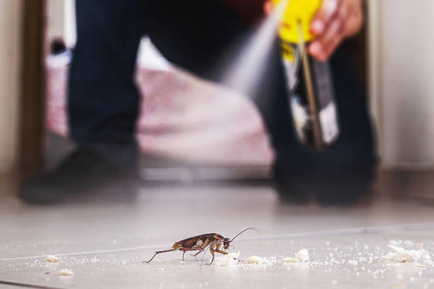 Best Commercial Pest Control Services  in Valley City, ND